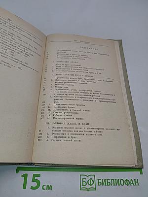Новая книга о супружестве