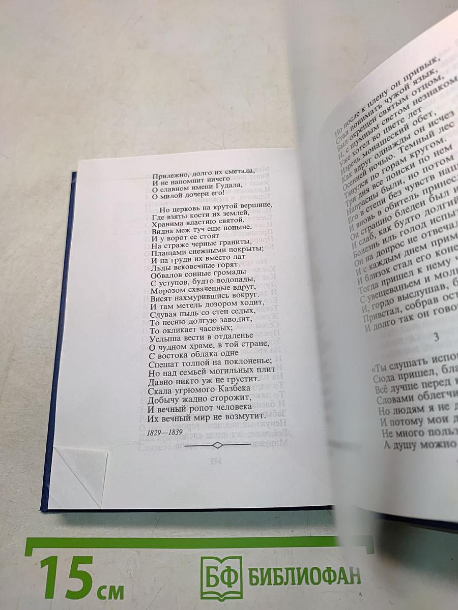 Стихотворения. Поэмы