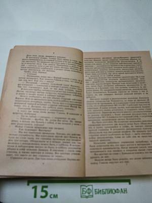 Смерть в штрафной площадке