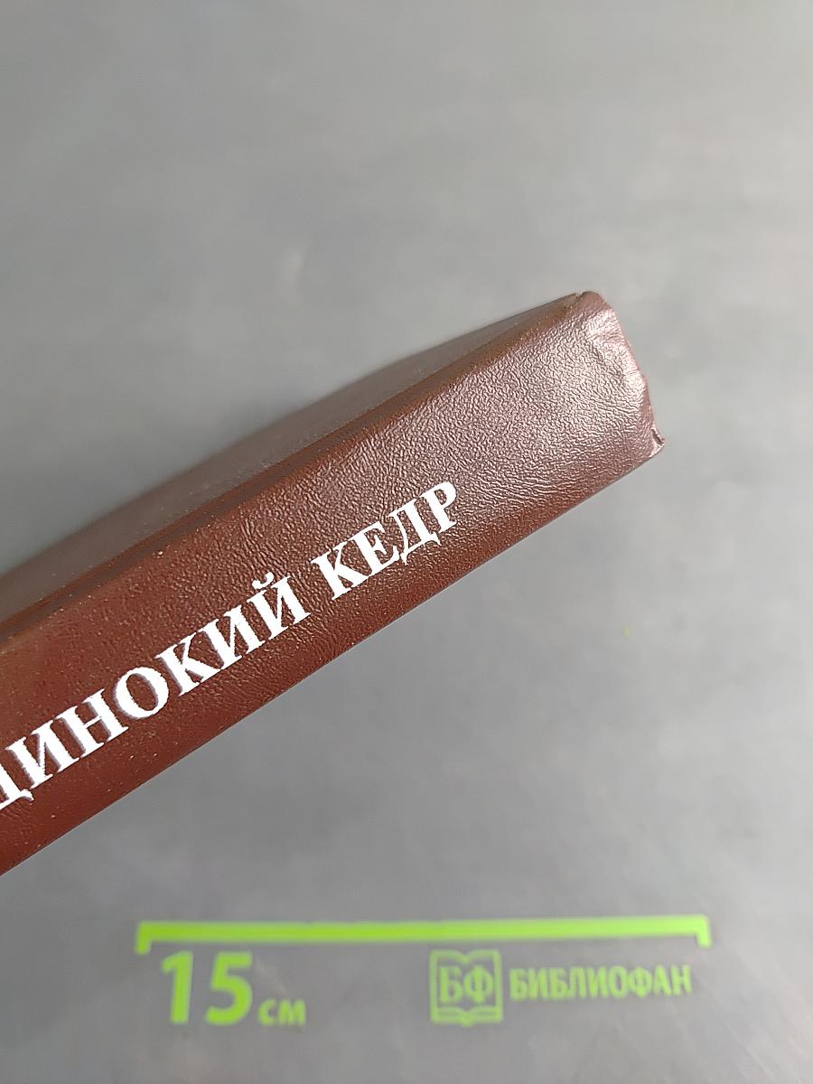 Одинокий кедр