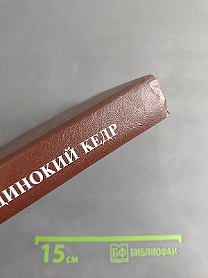 Одинокий кедр