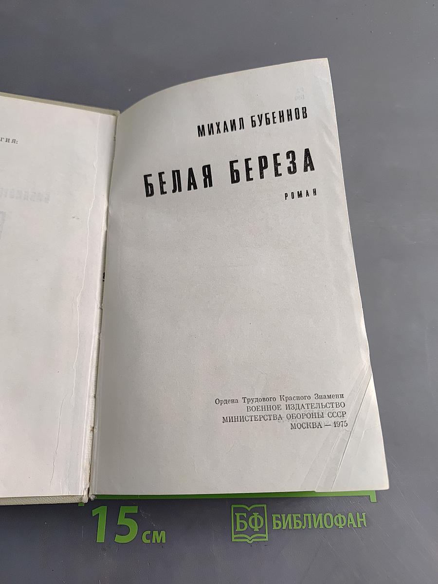Белая береза