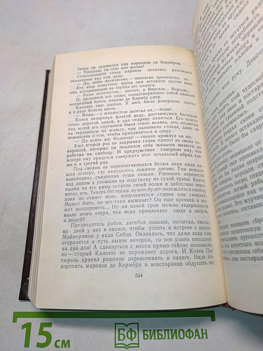 Неукротимая Анжелика