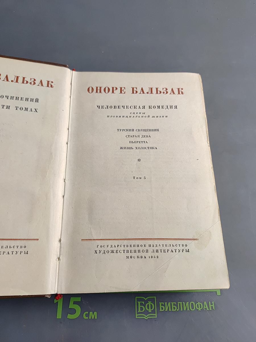 Человеческая комедия. Стены провинциальной жизни. Том 5