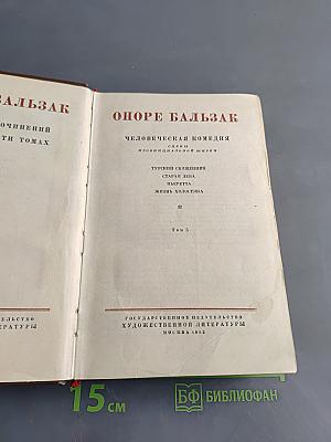 Человеческая комедия. Стены провинциальной жизни. Том 5