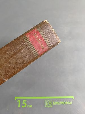 Человеческая комедия. Стены провинциальной жизни. Том 5