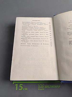 Собрание сочинений. Том десятый. Рассказы, очерки, публицистика 1863-1893