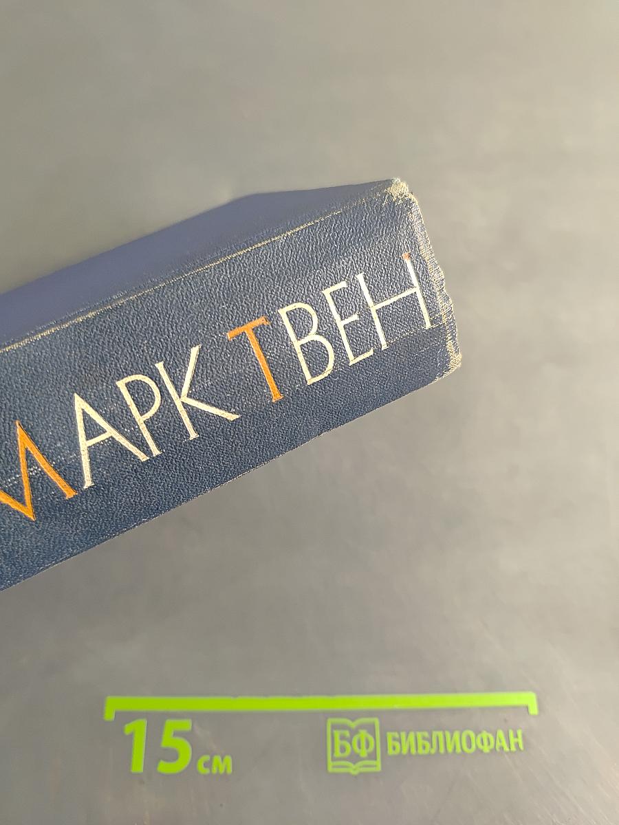 Собрание сочинений. Том десятый. Рассказы, очерки, публицистика 1863-1893