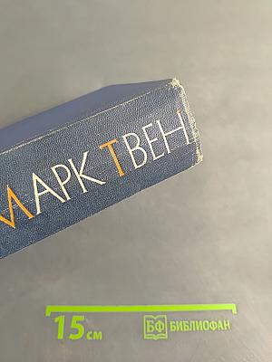 Собрание сочинений. Том десятый. Рассказы, очерки, публицистика 1863-1893