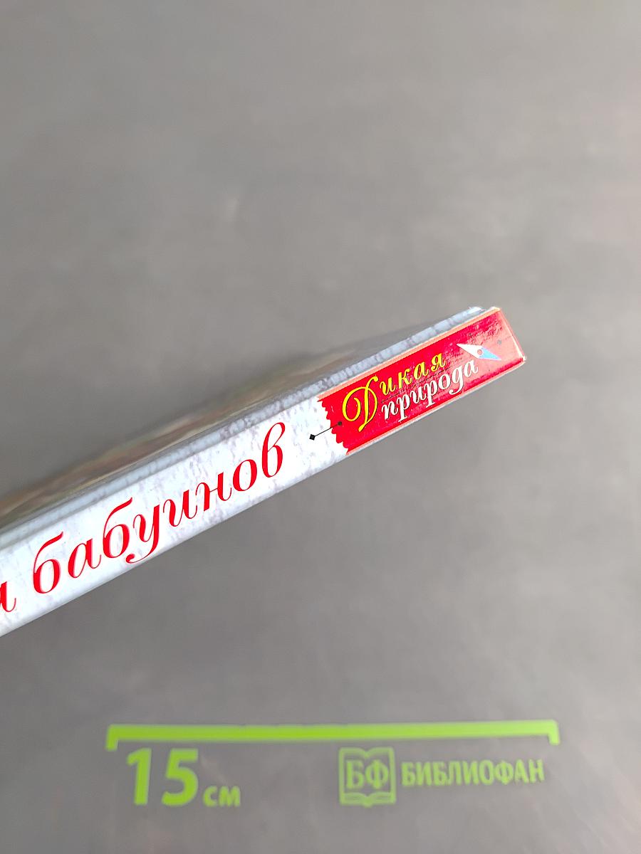 Скала бабуинов