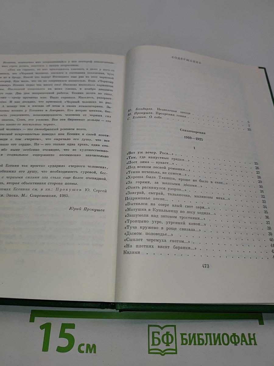 Сергей Есенин. Собрание сочинений в двух томах. Том 1. Стихотворения, поэмы