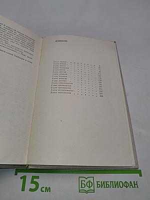 Честь