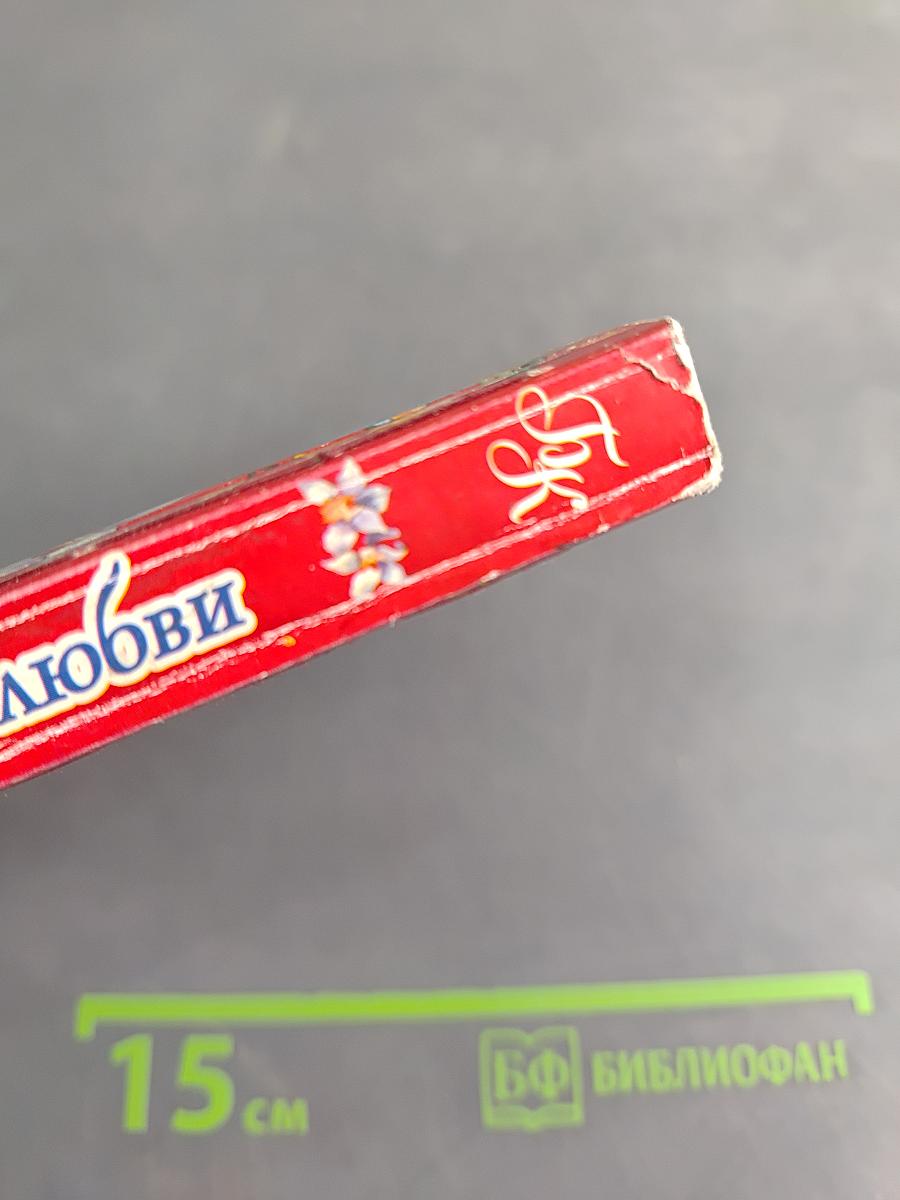 Великая сила любви