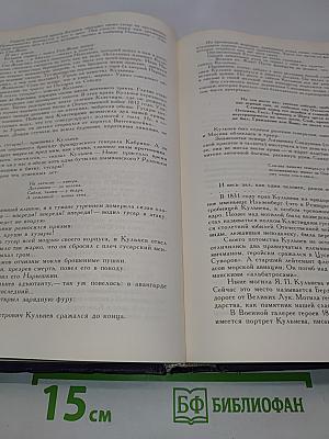 Кровь, слёзы и лавры