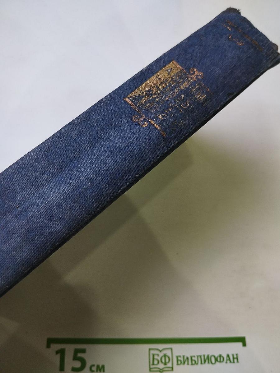 Звезды смотрят вниз