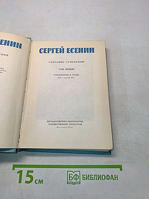 Собрание сочинений. Том первый. Стихотворения и поэмы (1910-1917)