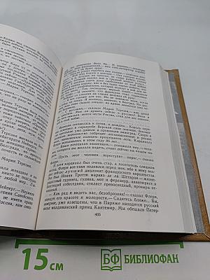 Слово и дело. Книга вторая. Мои любезные конфиденты