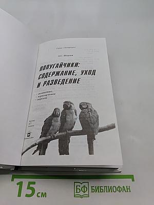 Попугайчики: содержание, уход и разведение