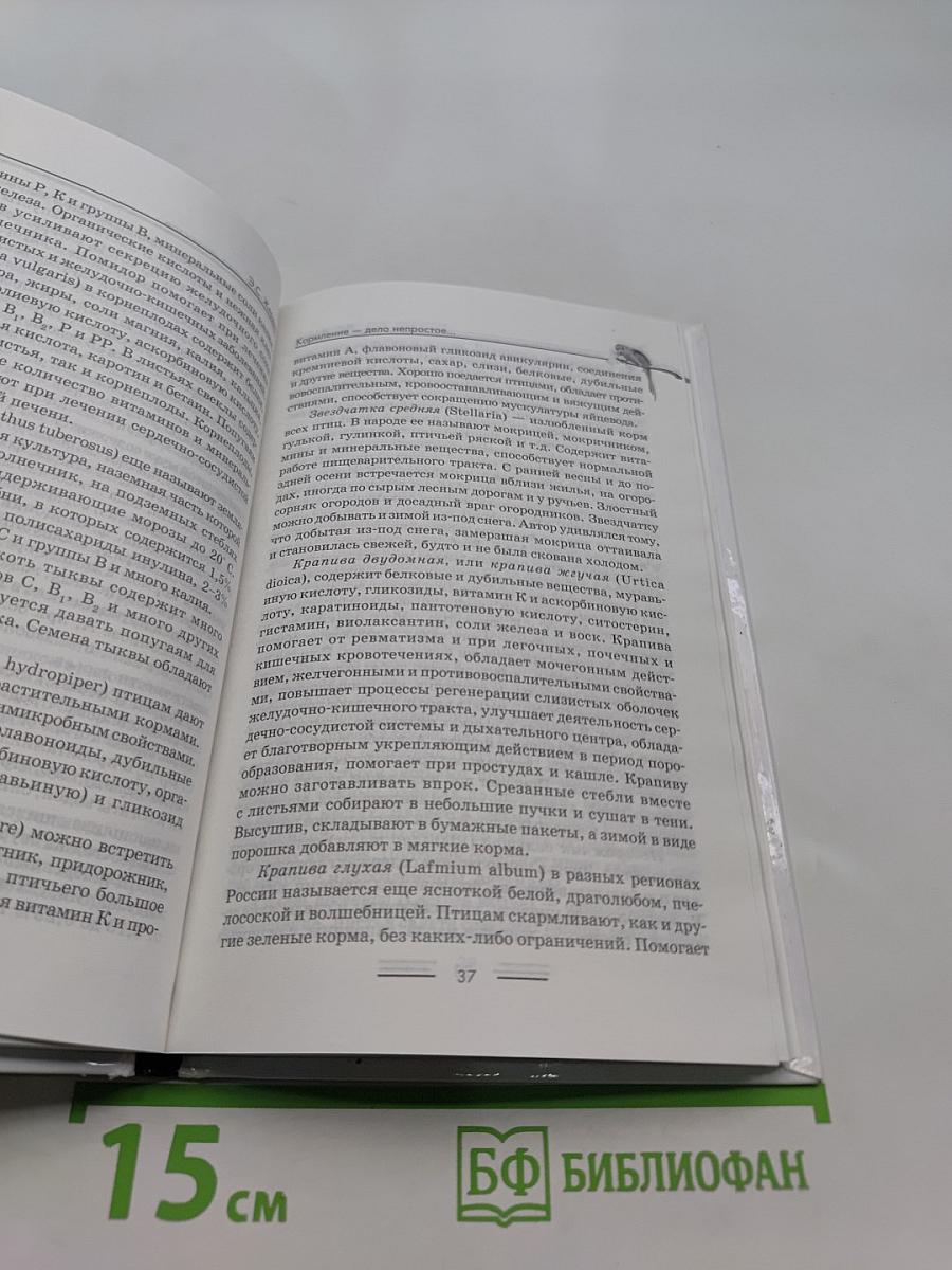 Попугайчики: содержание, уход и разведение
