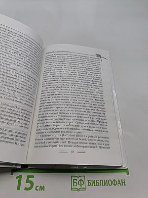 Попугайчики: содержание, уход и разведение