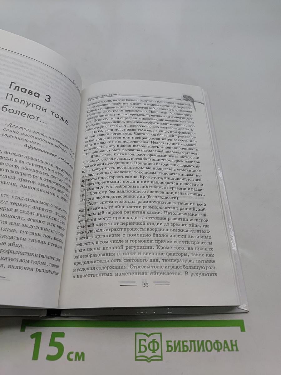 Попугайчики: содержание, уход и разведение