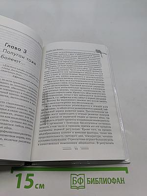 Попугайчики: содержание, уход и разведение