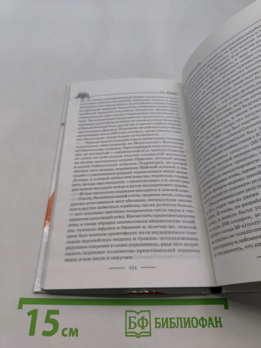 Попугайчики: содержание, уход и разведение
