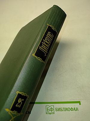 Собрание сочинений. Том двадцать пятый. Наш общий друг. Роман. Книга третья и четвертая