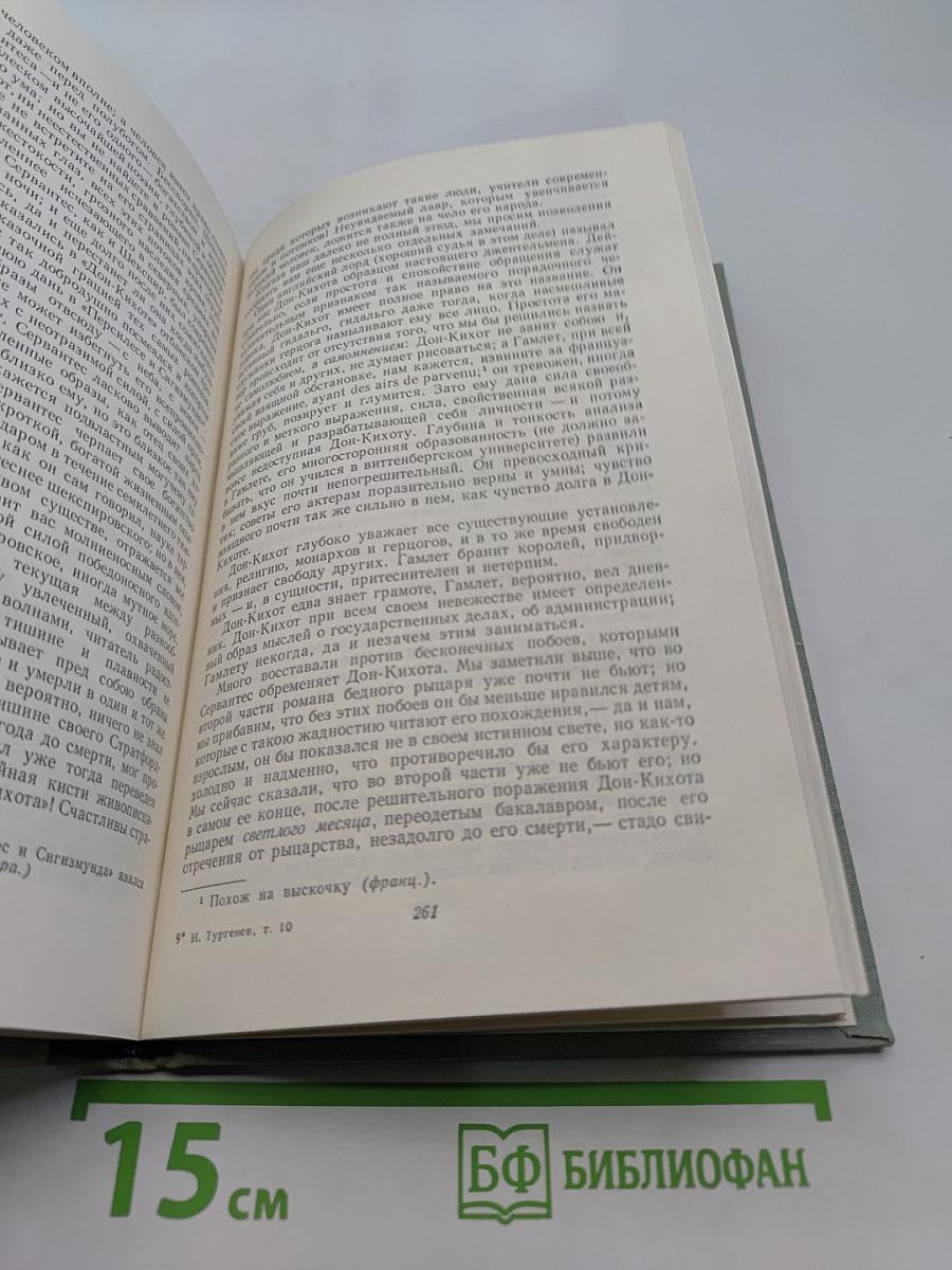 Собрание сочинений. Том десятый. Стихотворения в прозе. Литературные и житейские воспоминания. Избранные статьи и речи