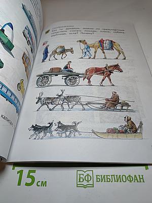 Окружающий мир 1 класс, Часть вторая