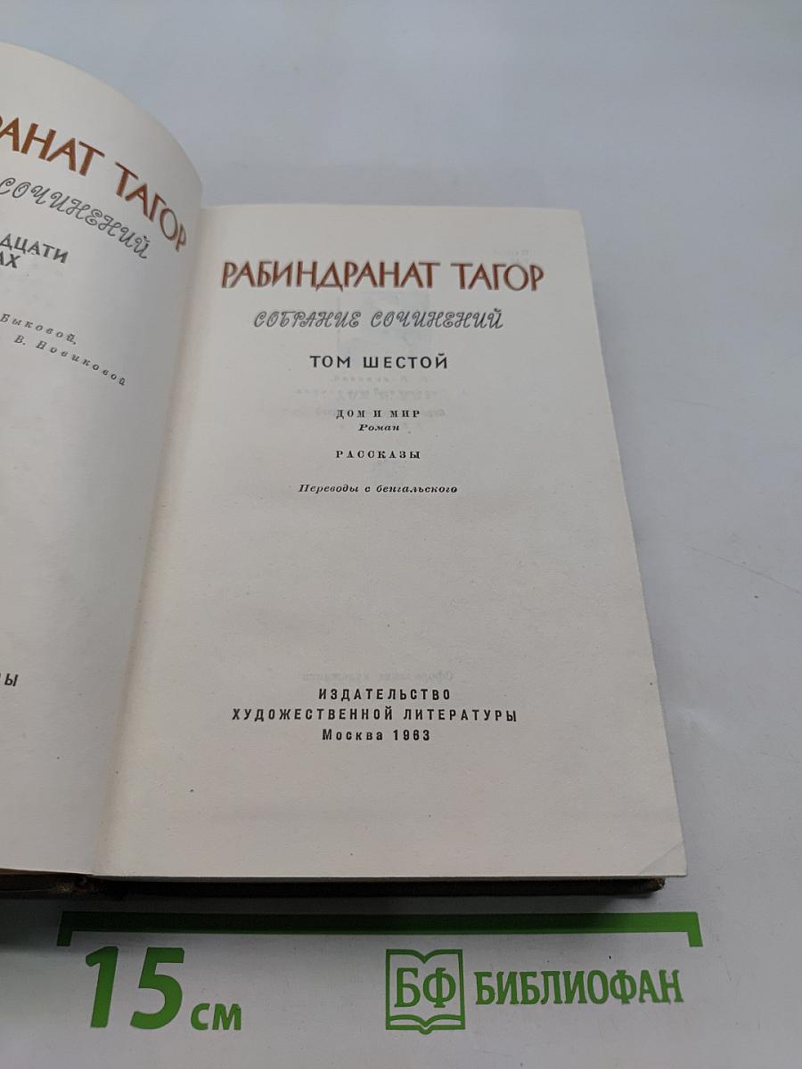 Собрание сочинений. Том шестой. Роман. Рассказы