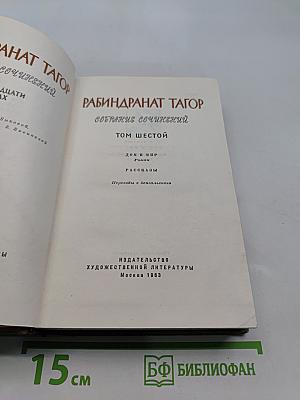 Собрание сочинений. Том шестой. Роман. Рассказы
