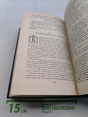 Виконт де Бражелон, или Десять лет спустя. Часть третья - четвертая