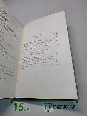 Письма. Том шестой. 1865-1867