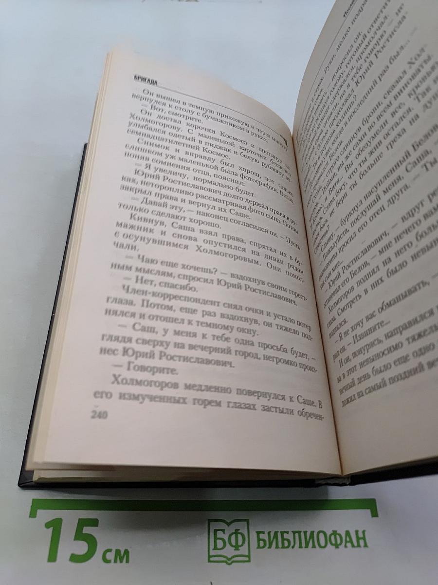 Бригада. Последний выстрел. Книга 4