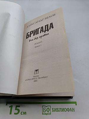 Бригада. Бой без правил. Книга 1