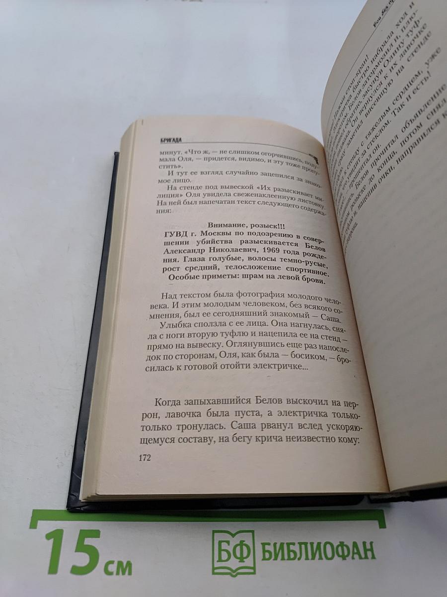 Бригада. Бой без правил. Книга 1