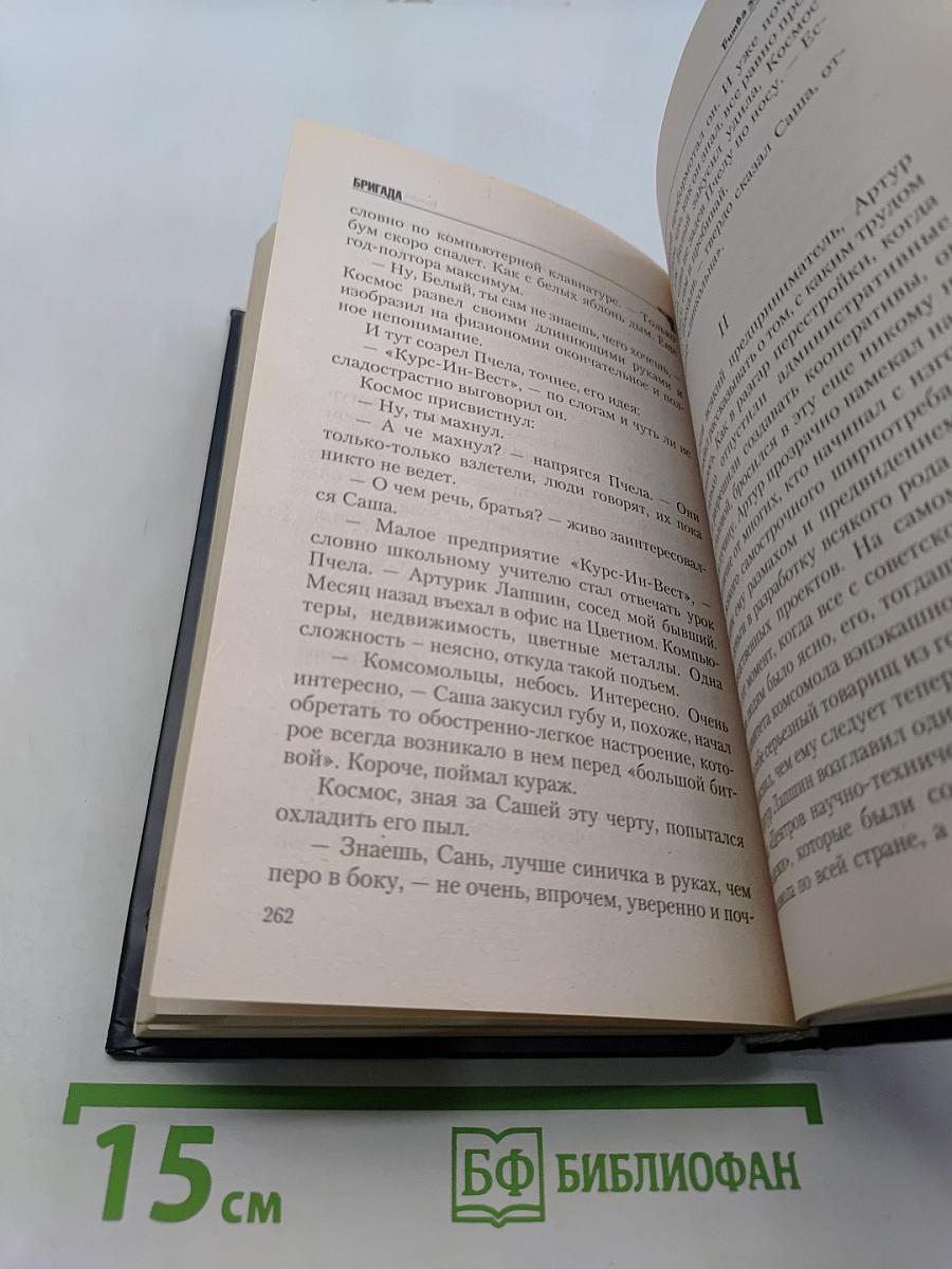 Бригада. Бой без правил. Книга 1