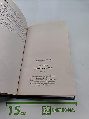 Бригада. Бой без правил. Книга 1