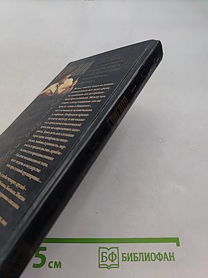 Бригада. Бой без правил. Книга 1