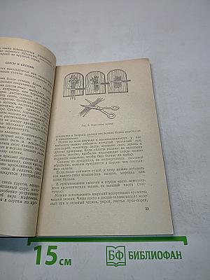 Салаты и бутерброды