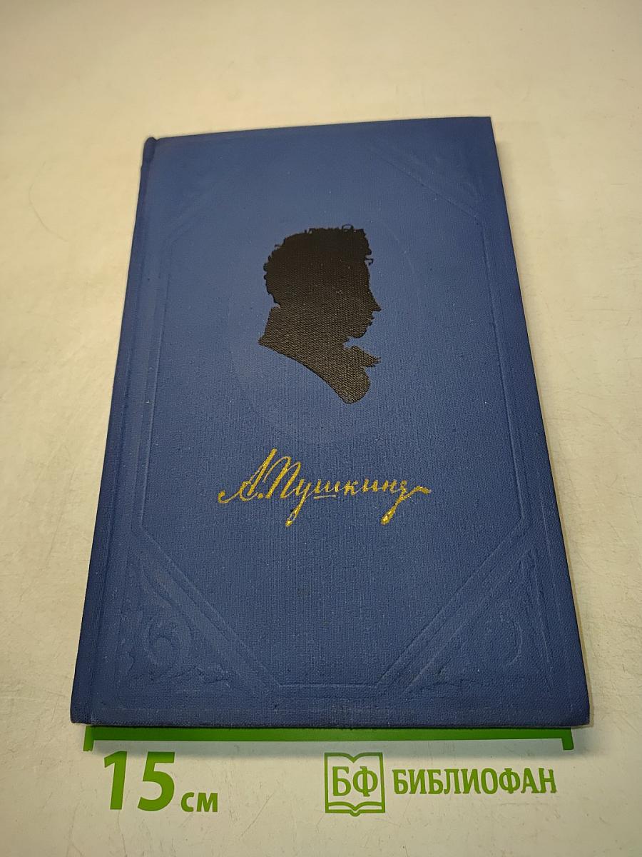 Полное собрание сочинений. Том 8. Письма (1815-1830)