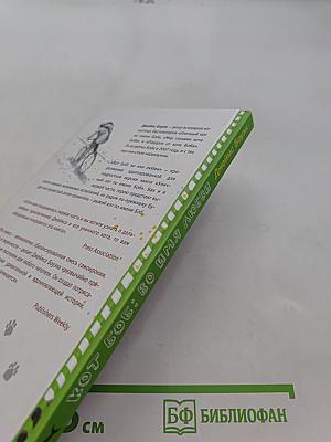Кот Боб: Во имя любви