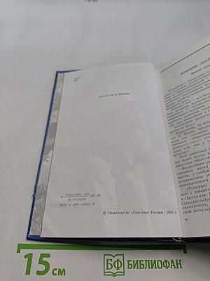 Размышления о нравственности