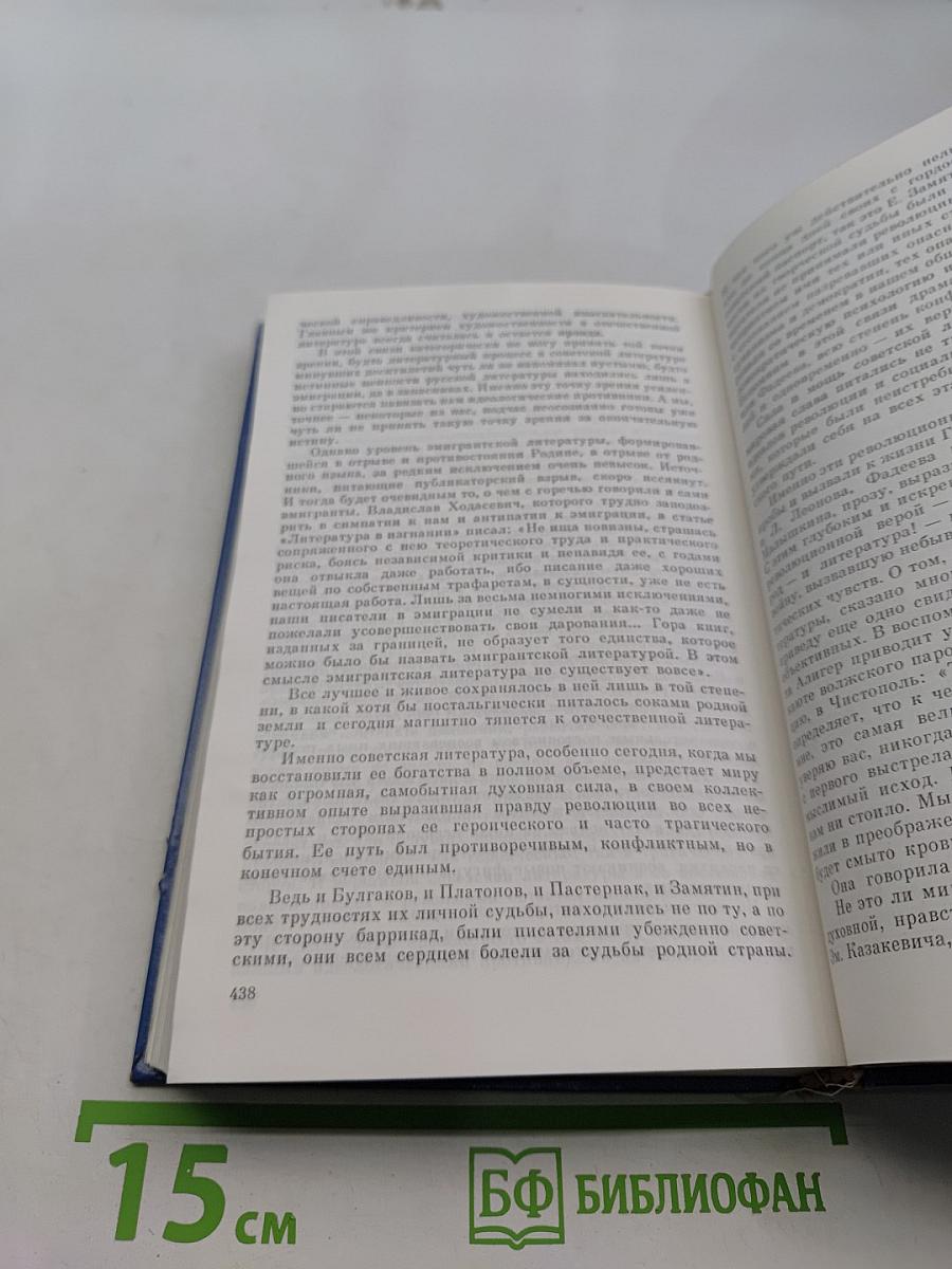 Размышления о нравственности