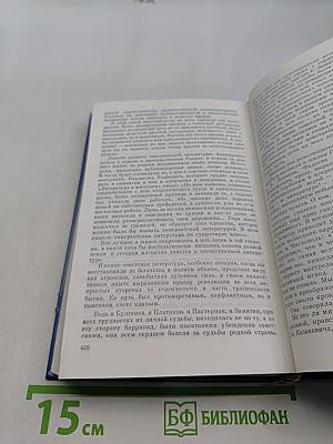 Размышления о нравственности