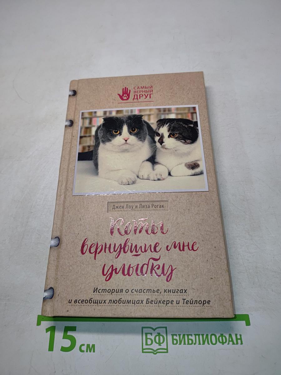 Коты, вернувшие мне улыбку