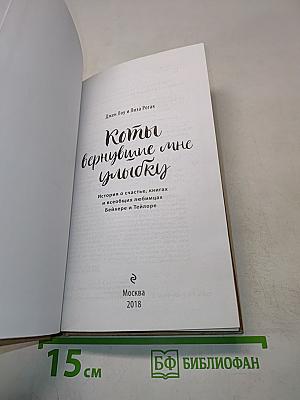 Коты, вернувшие мне улыбку