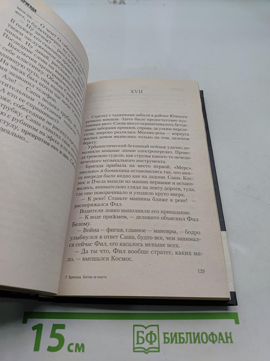 Бригада. Битва за масть. Книга 2