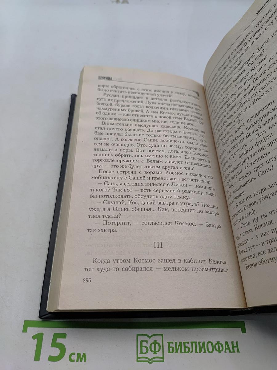 Бригада. Битва за масть. Книга 2